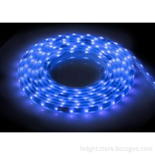 SMD3528 120LEDs DC12 DC24V Cool White Blue LED Flexible Str